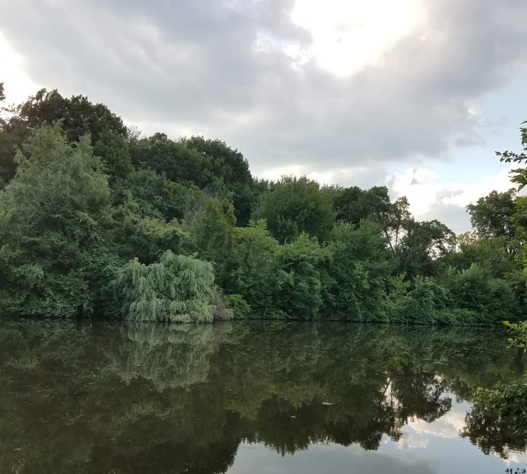 Walden Duck Pond (River&nbspEdge,&nbspNJ)